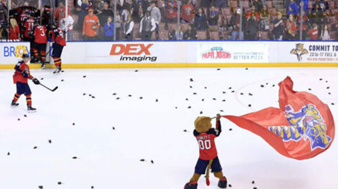 7 Things To Know As You Jump on the Florida Panthers Bandwagon