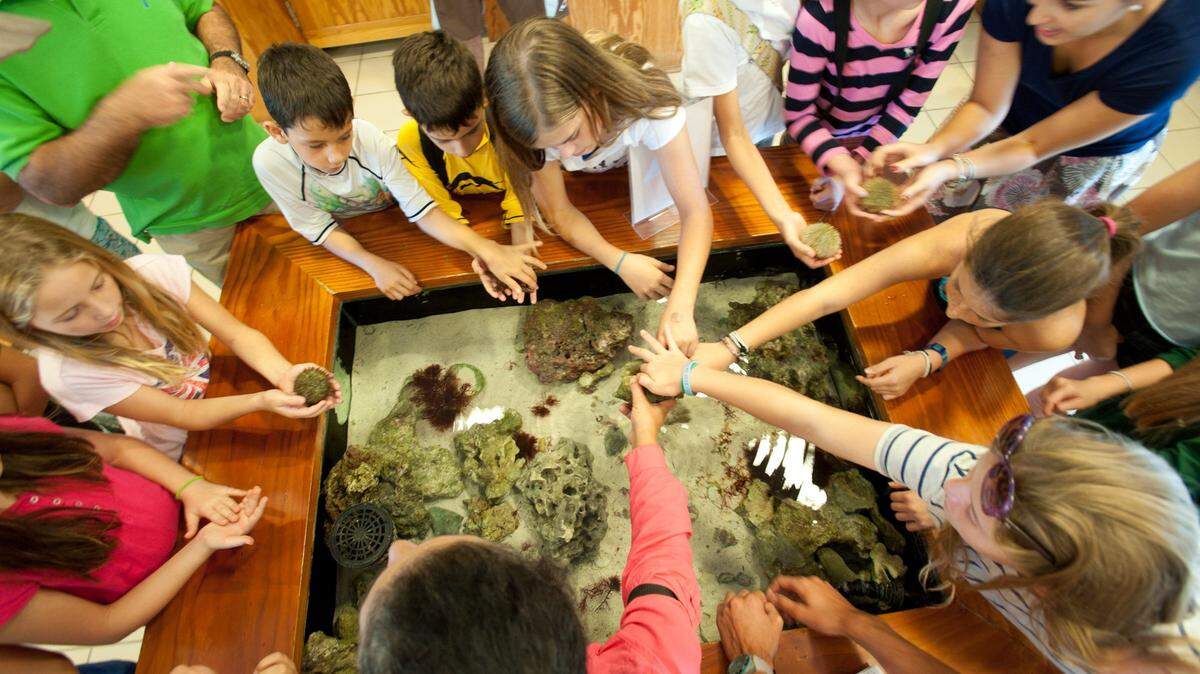 Children learn about some of  the sea life in the waters surrounding Key Biscayne at the Marjorie Stoneman Douglas Biscayne Nature Center in Key Biscayne.