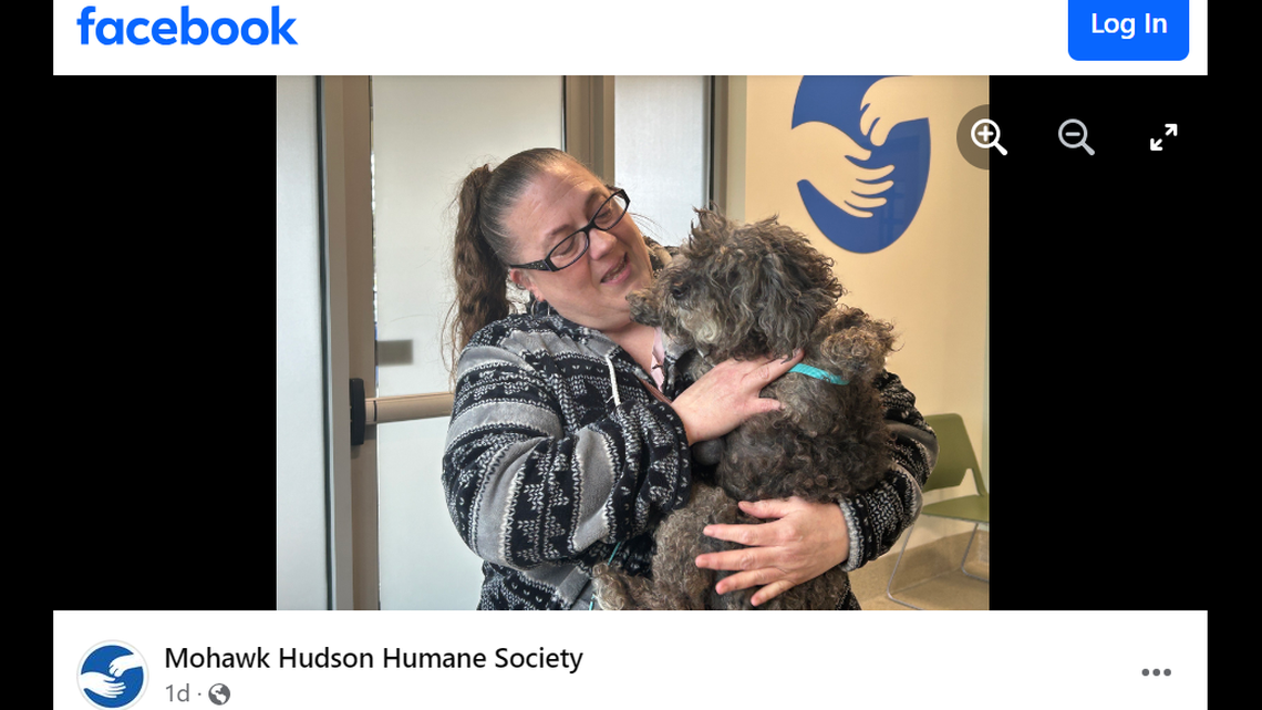 Bella the dog was found months after she went missing from her New York yard.