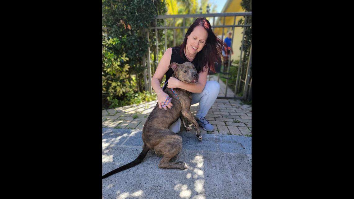 A dog came back to a Florida shelter before she found the “perfect family.”