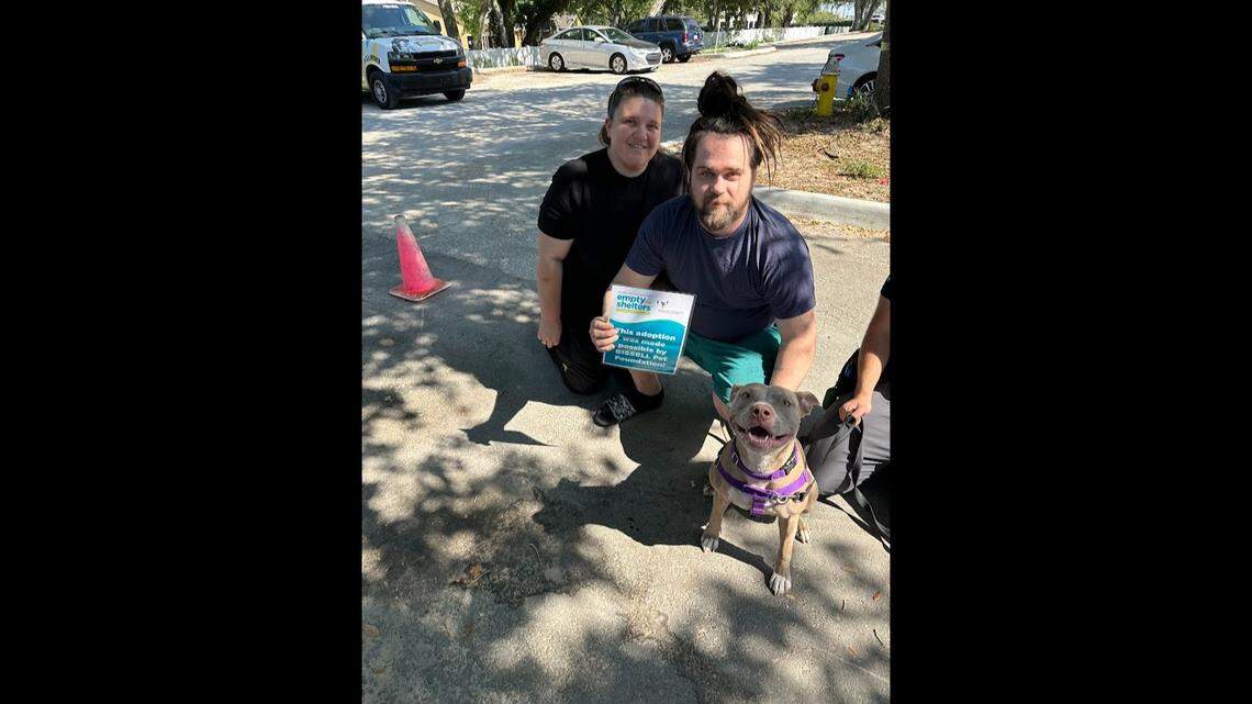 Sky the Florida dog was adopted after waiting 188 days for a “loving” home.