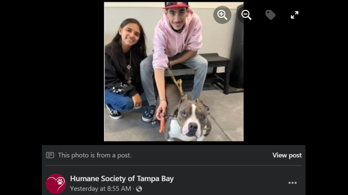 Nick the dog got a new home after potential adopters kept passing him over, a Florida shelter said.