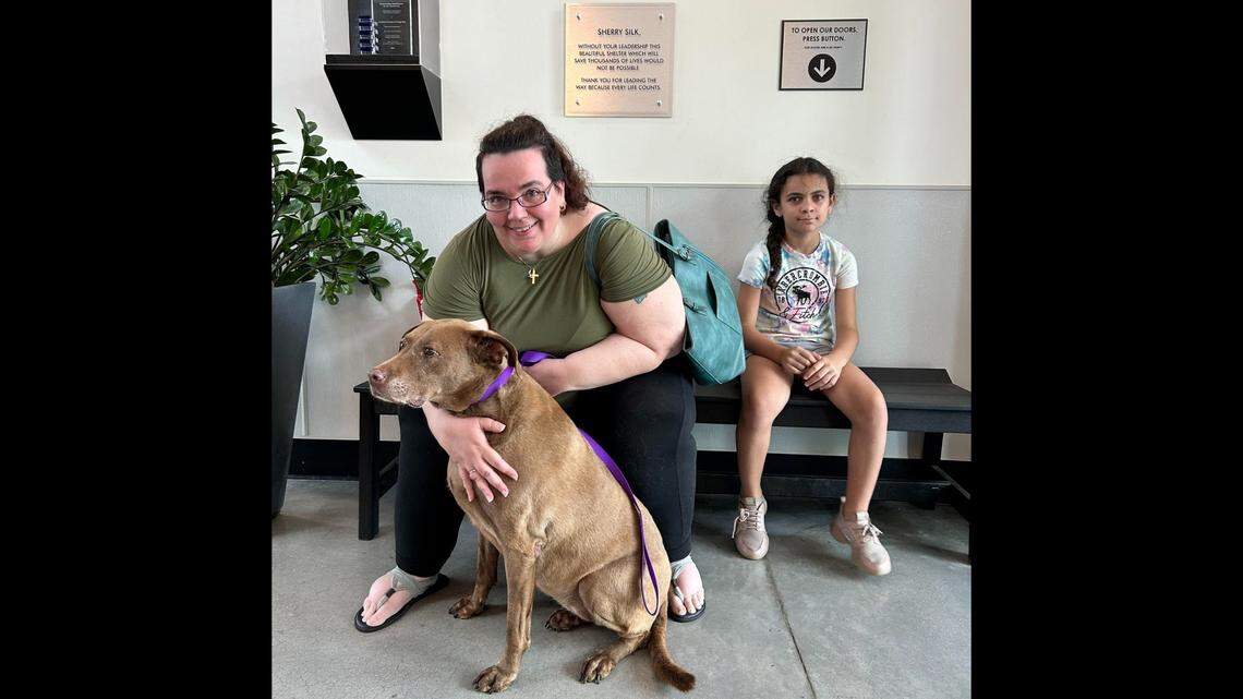 A shy dog got a second chance after spending more than 100 days in a Florida animal shelter.
