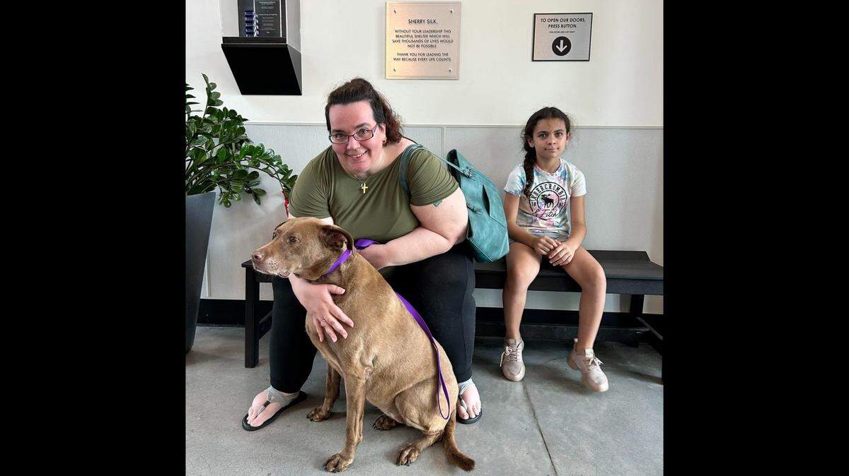 A shy dog got a second chance after spending more than 100 days in a Florida animal shelter.