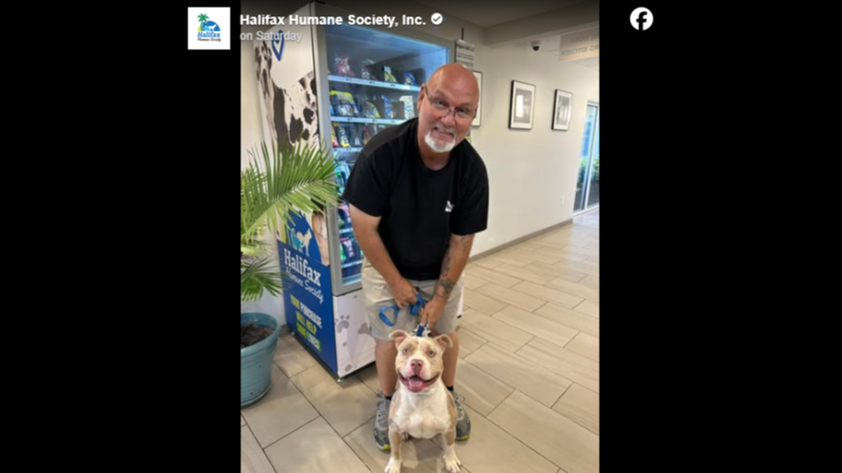 A missing dog’s owners drove 12 hours for a heartwarming reunion in Florida.
