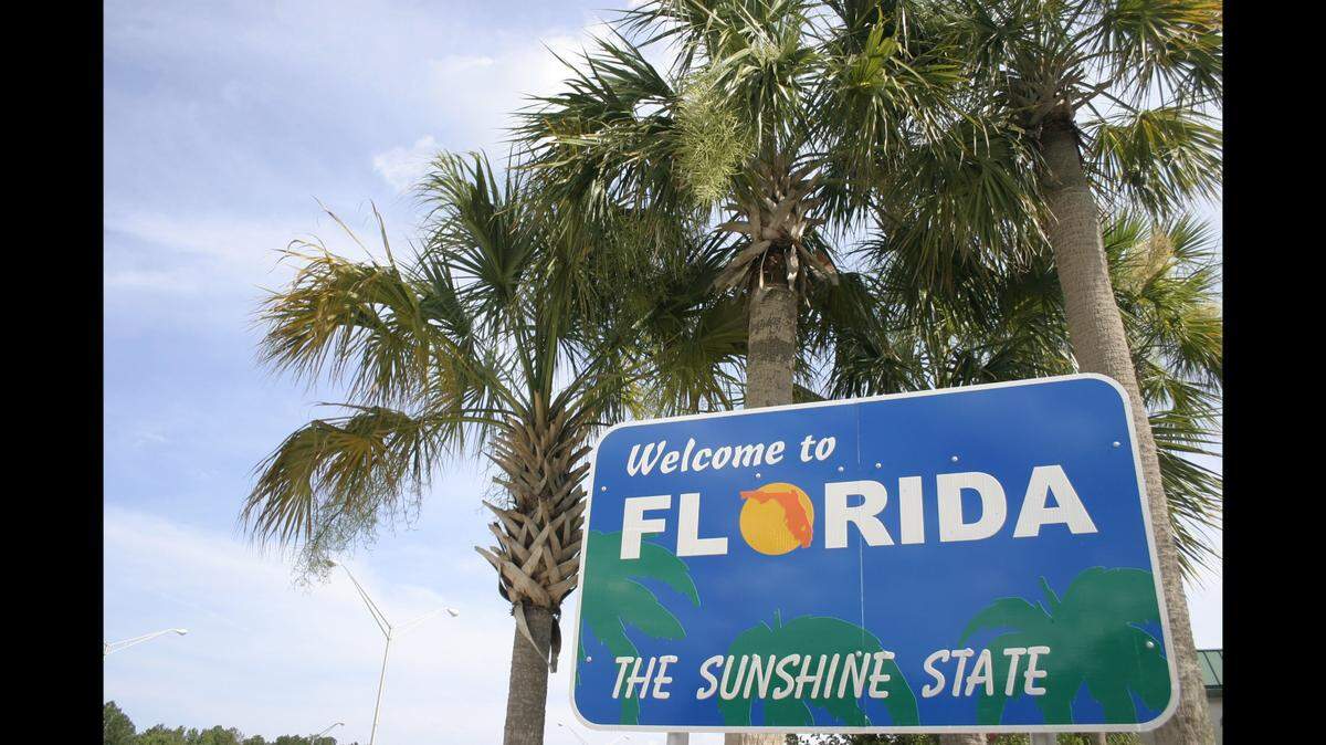 Tampa ranks as the most dog-friendly city in the United States.