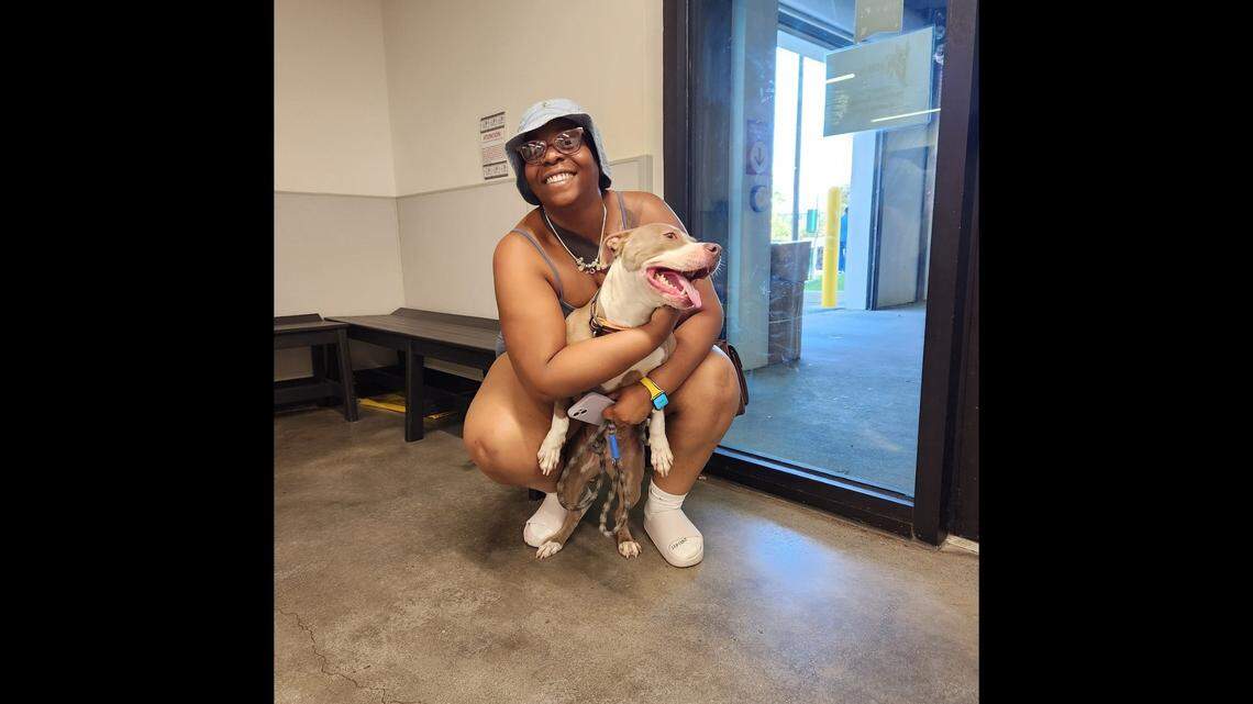 Ayvah the dog basked in a heartwarming reunion with her owner.