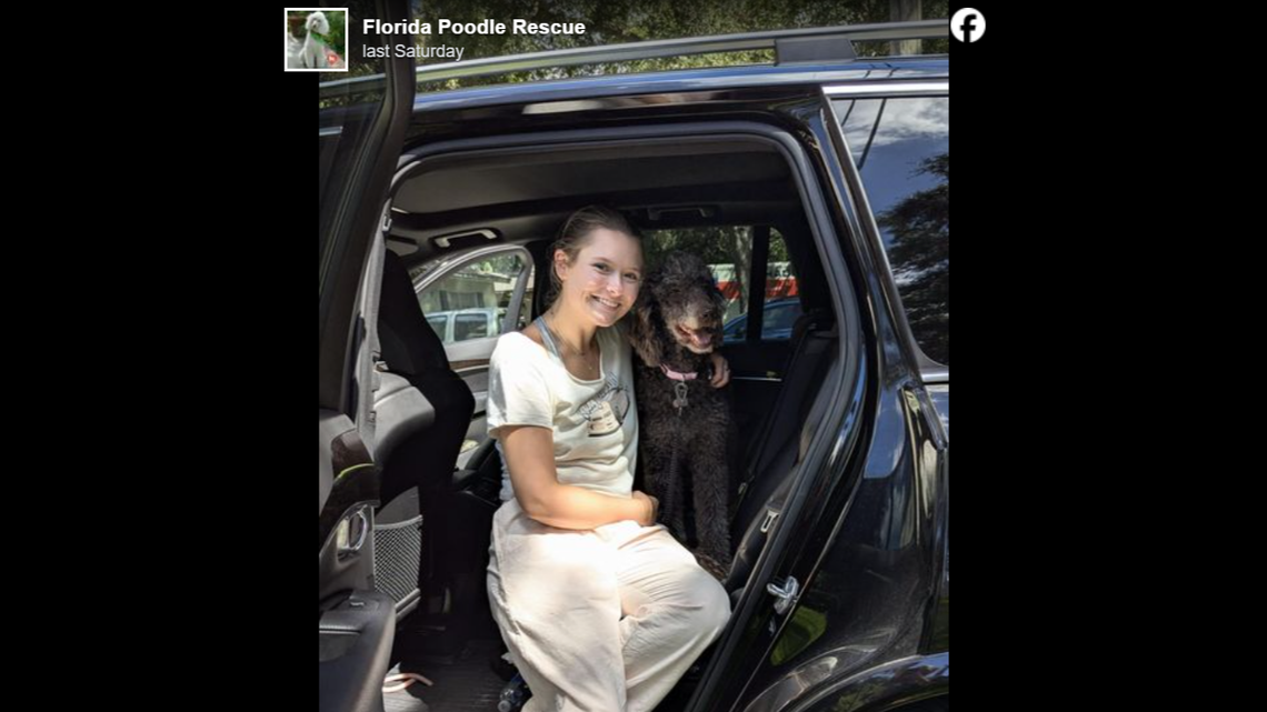 Snickers the “sweet” dog was adopted into a home.