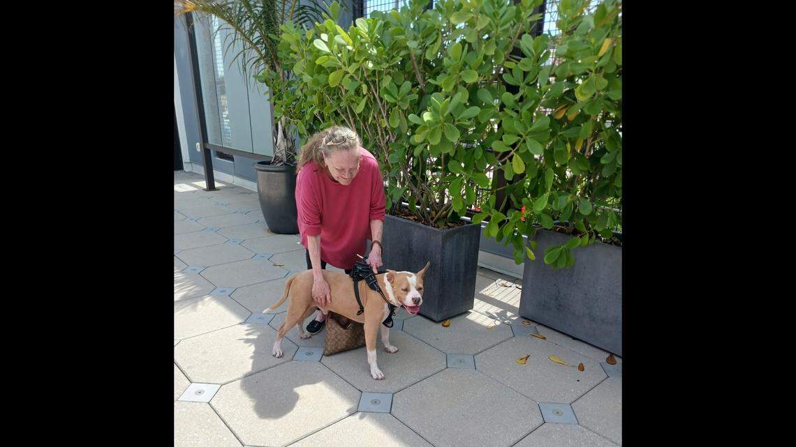 A Florida dog waited 100 days for a new home — but didn’t have to be patient any longer.