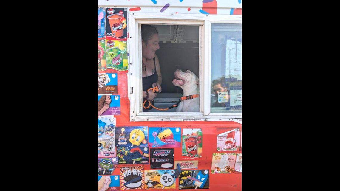 An animal shelter shared the good news that an ice cream truck driver fell for Brucey the dog.