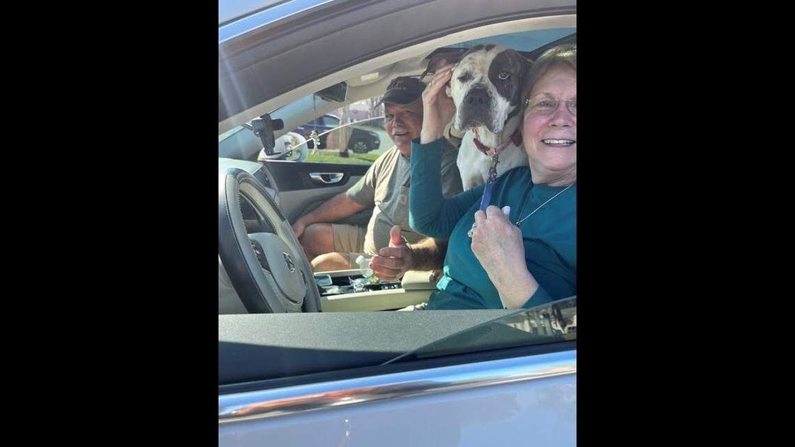 A Florida dog got a fresh start with a South Carolina family.