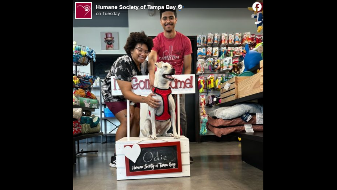 Odie’s new family fell for him right away, a Florida shelter said.