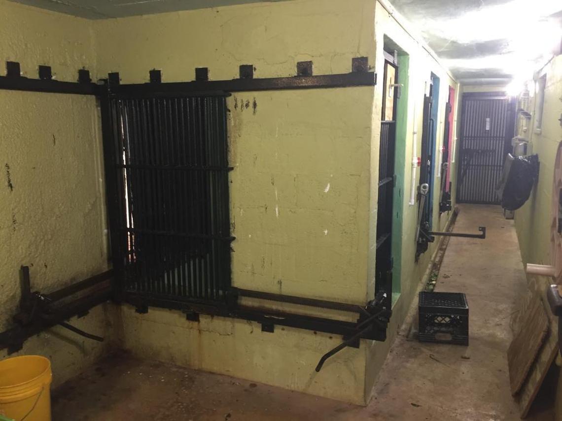 Mei’s three night houses. Lustig alleges the orangutan is often left in the night houses for extended periods of time.