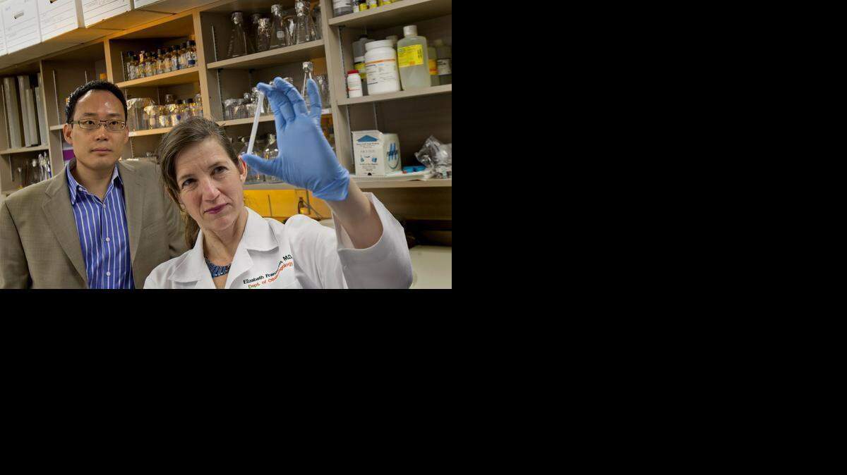 
Matthew H.J. Kim, who founded Vigilant Biosciences, and serves as the company’s chairman and CEO, is shown with Dr. Elizabeth Franzmann, who is looking at a OncAlert point-of-care test prototype. Vigilant is working on an early detection system for risk of oral cancer.
