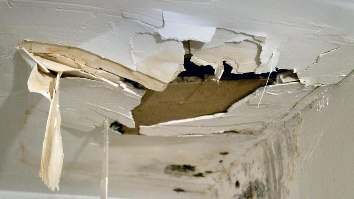 Insurance companies have faced skyrocketing claims in Florida, many from water damage, through a practice known as assignment of benefits.