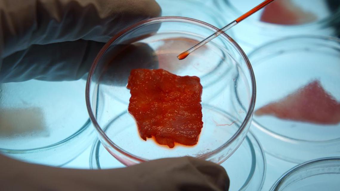 Lab-grown meat, or cultured meat, is meat produced by in vitro cultivation of animal cells instead of from slaughtered animals. South Florida CEOs were asked: The growth of lab-grown meat is now surging. Have you changed to a more plant-based, less meat-based diet, and if so, why?==