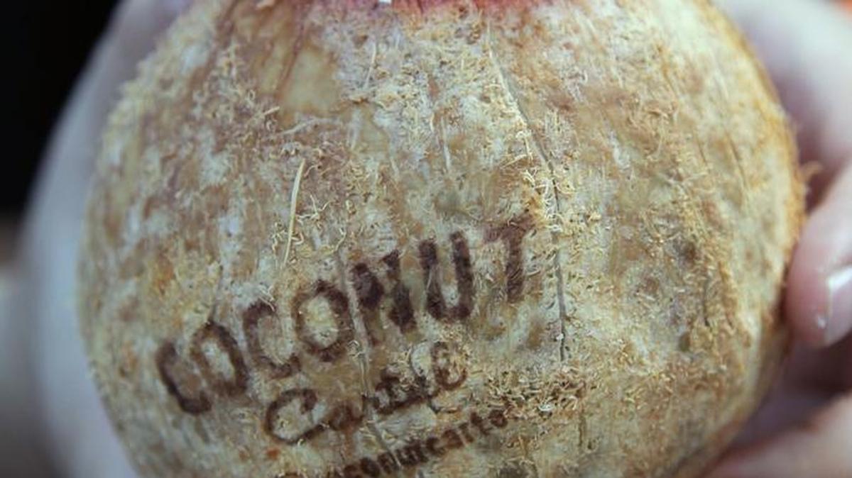 Coconut Cartel’s is a wholesale retailer of coconuts imported from El Salvador and sold to upscale hotels and restaurants across the U.S.