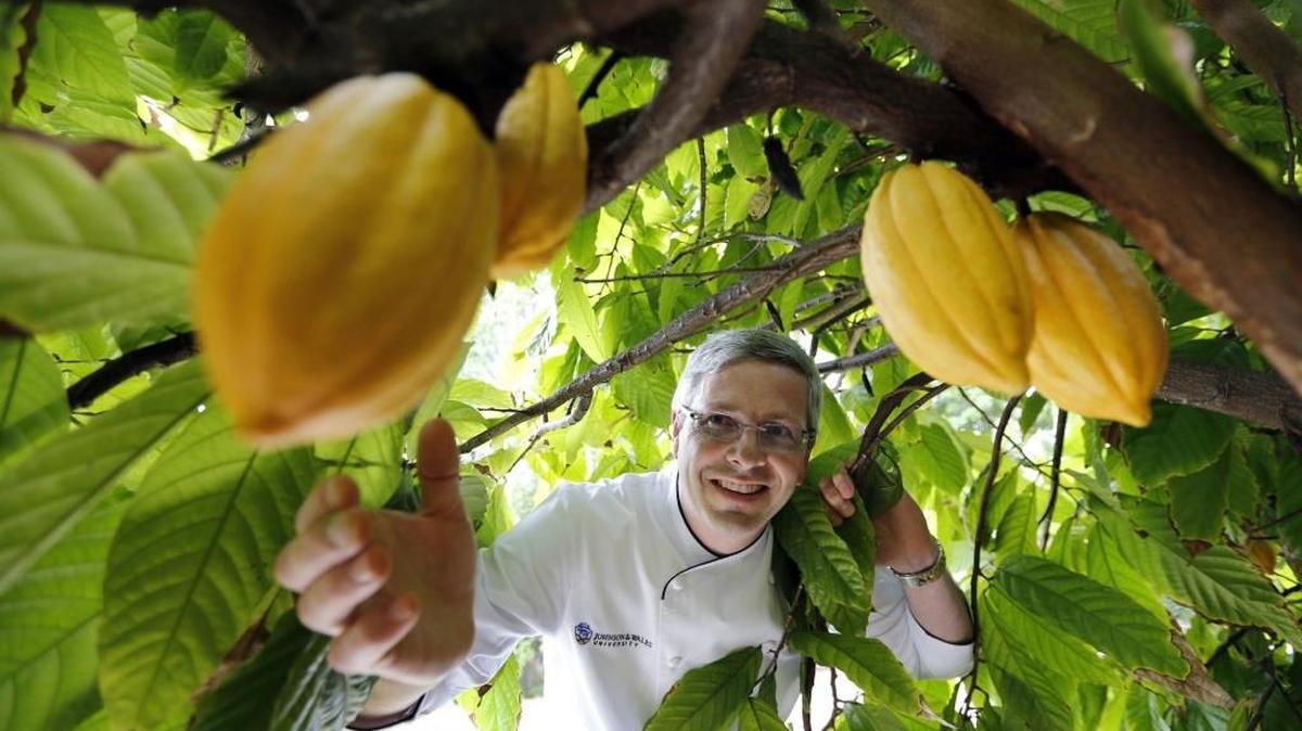 Bruce Ozga, dean of culinary education in the edible garden at Johnson & Wales University.