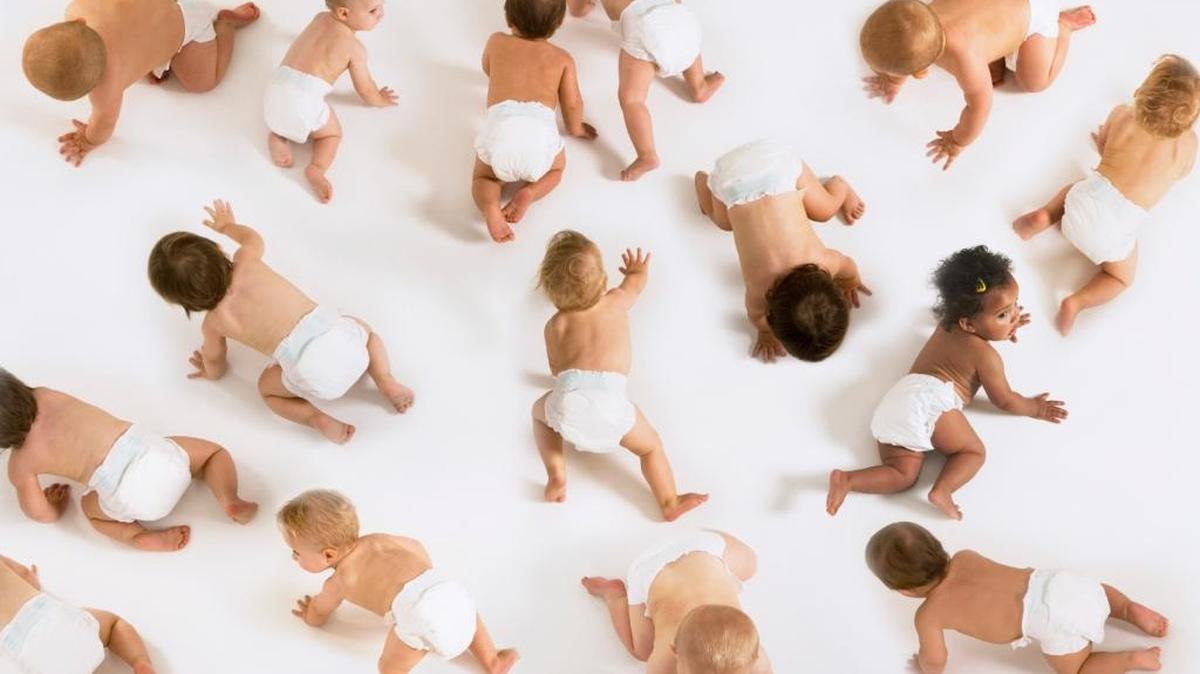 ‘I learned that the market for disposable diapers is a fiercely competitive battlefield waged with razor-sharp pricing, targeted product differentiation, proliferation of product features and an all-out assault on emotional heartstrings.’