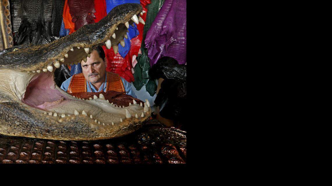 
Brian Wood’s company All American Gator Products makes and sells alligator fashion items, including purses, jackets and belts in a variety of colors, in the Hollywood store and online. The company also sells alligator meat to restaurants.
