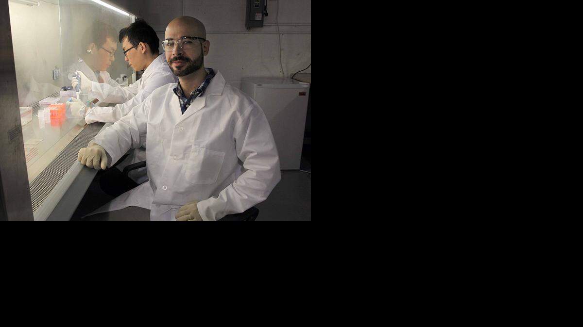 
HARD AT WORK: Entopsis cofounder Obdulio Piloto faces front, as Tingjun lead scientist Lei, Tingjun Lei works on some samples at Entopsis at the Hialeah Technology Center. They are developing a novel platform technology that can easily, cheaply and quickly be used to diagnose numerous diseases and other applications.
