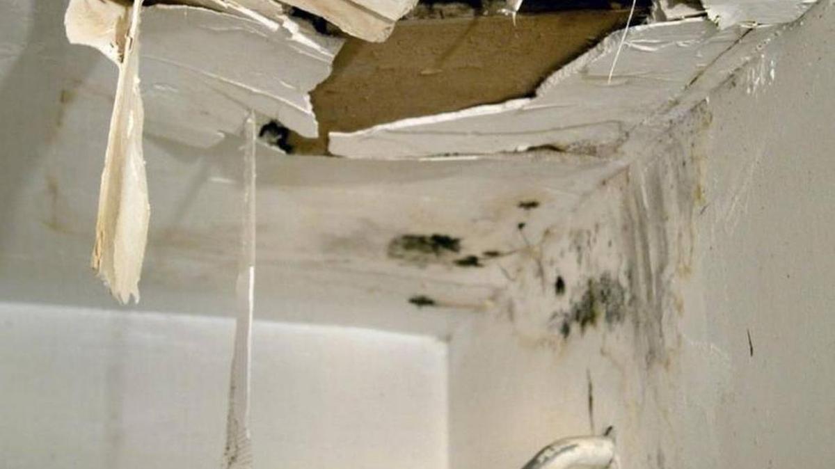 Beginning in February, Citizens will be able to force commercial and residential property policyholders who file claims for all non-weather water losses to use the company’s preapproved contractor or agree to limit their total payout to $10,000.