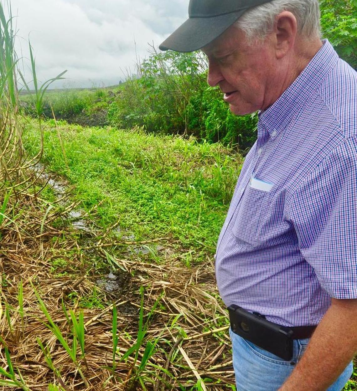 Rick Roth inspects damaged sugarcane fields in Palm Beach County.