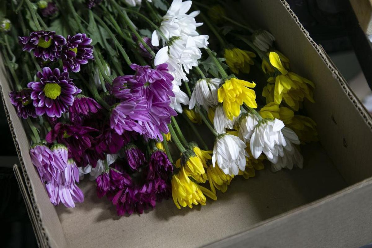 Boxed flowers in the cooler at Florida Beauty Flora, Inc. warehouse in Miami on Thursday, April 9, 2020. South Florida is a major hub of the flower import transport business shipping across the nation. But since many places are closed, the demand for Easter flowers has declined by some 70%.