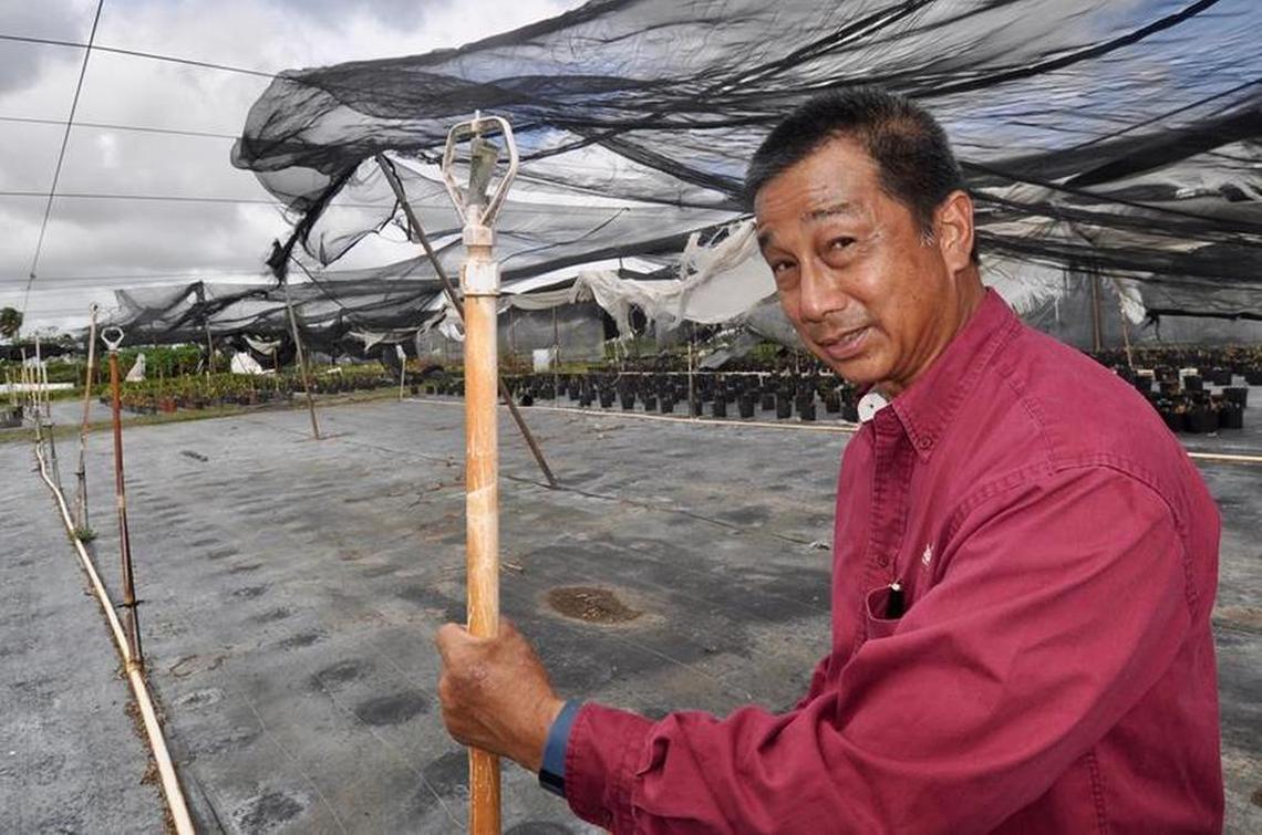 Mark Wilson’s shade houses at Greendale Nursery in Homestead were destroyed or heavily damaged by Hurricane Irma.