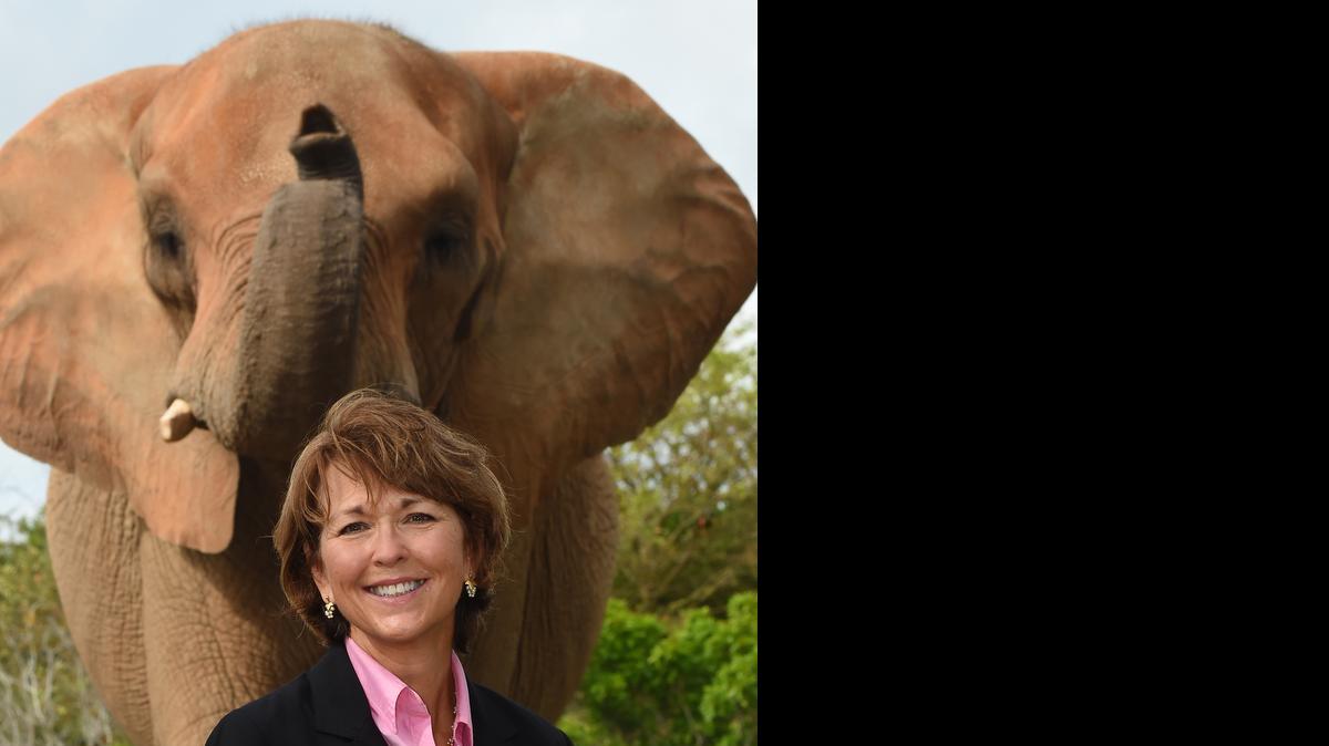 
Carol Kruse
