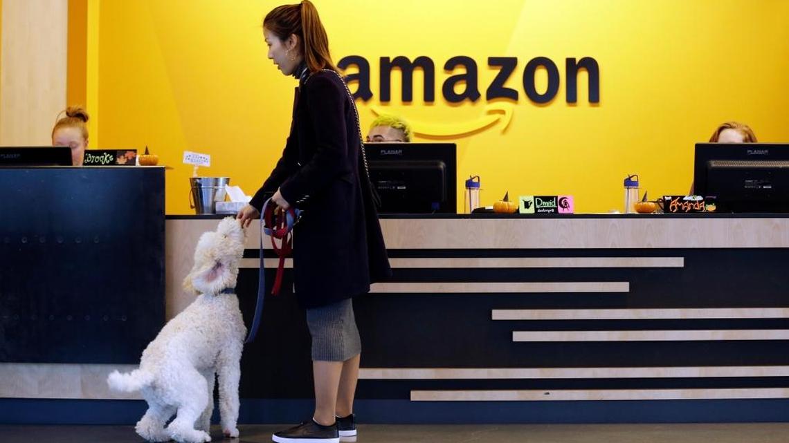 An Amazon employee gives her dog a biscuit as the pair head into a company building, where dogs are welcome, in Seattle.