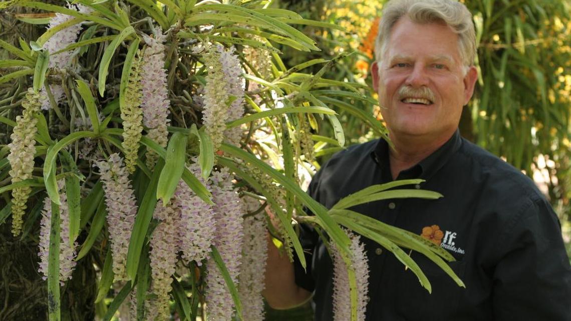 Robert Fuchs estimates his Homestead nursery holds some 5,000 different varieties of orchids.
