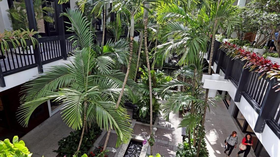 The open-air Bal Harbour Shops is heavily landscaped with palms and fish ponds. The mall is one of South Florida’s top-producing shopping centers and is planning a major expansion.