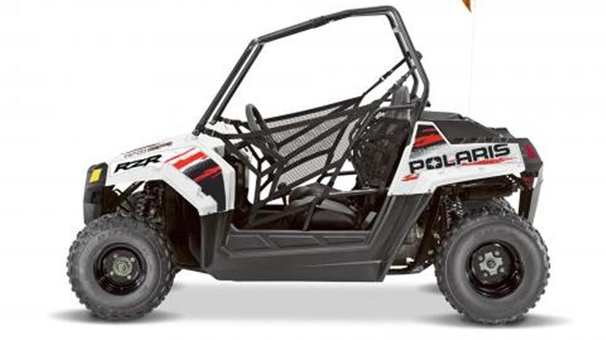 2017 RZR 170