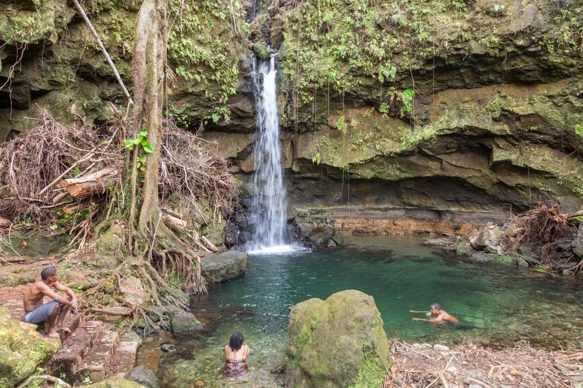 Emerald Pool Nature Trail in Dominica has reopened for tourists.