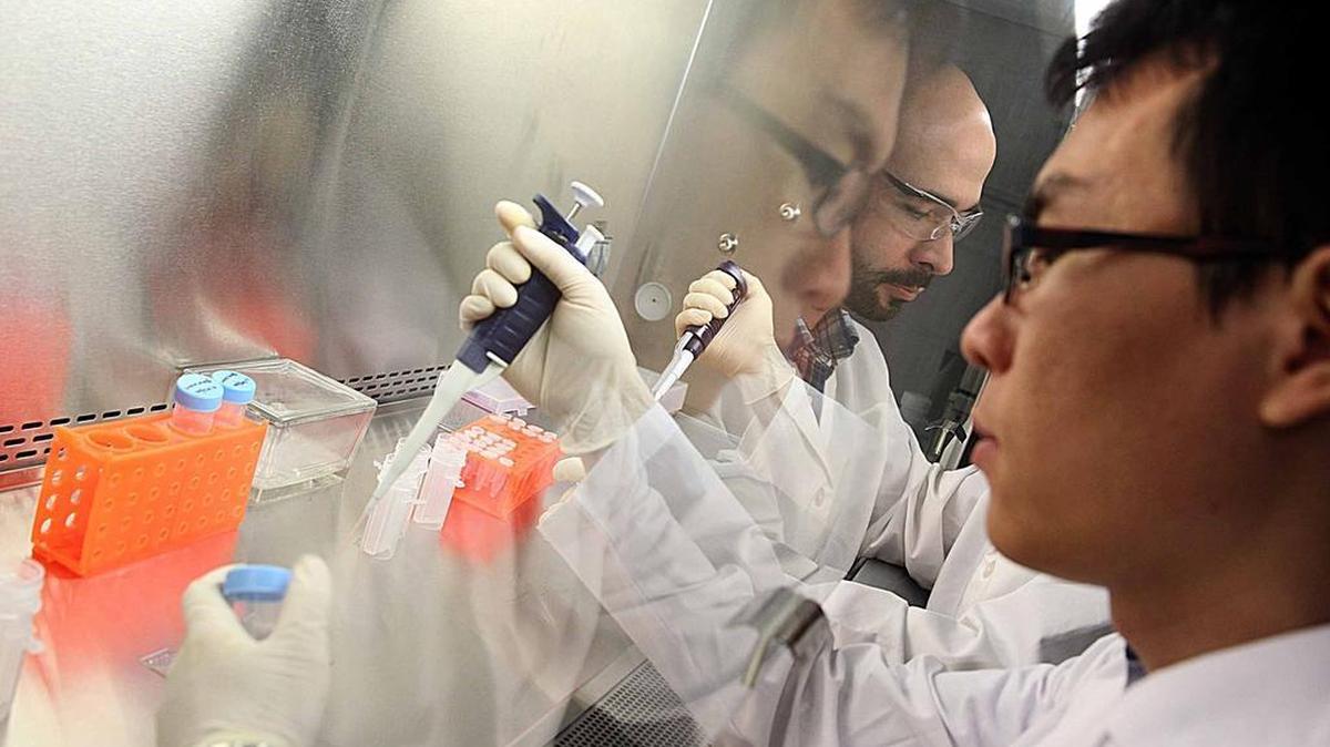 Entopsis scientists Tingjun Lei, front, and Obdulio Piloto, CEO, work on some samples at the Entopsis lab in Hialeah. They are developing a novel platform technology that can easily, cheaply and quickly be used to diagnose diseases.