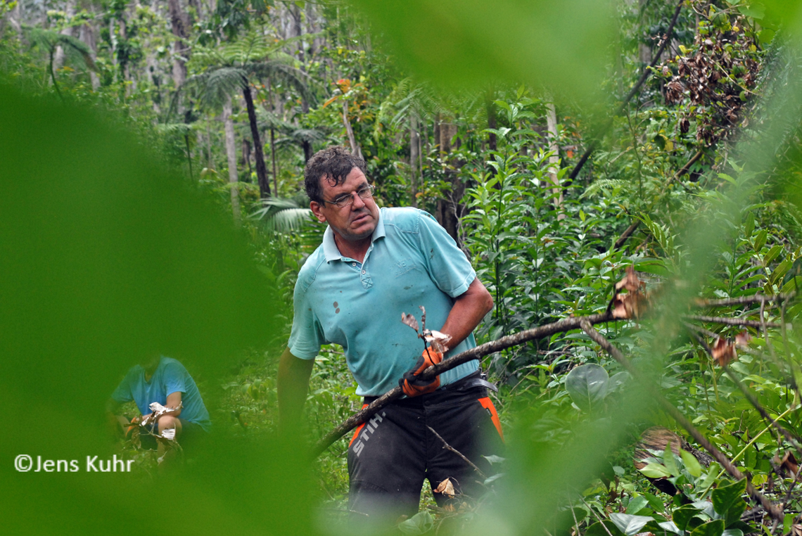 The Tamarind Tree Hotel in Dominica is offering one- or two-week all-inclusive packages that also allow visitors to work on clearing debris in a segment of the island’s 14-segment walking trail, Waitukubuli National Trail.