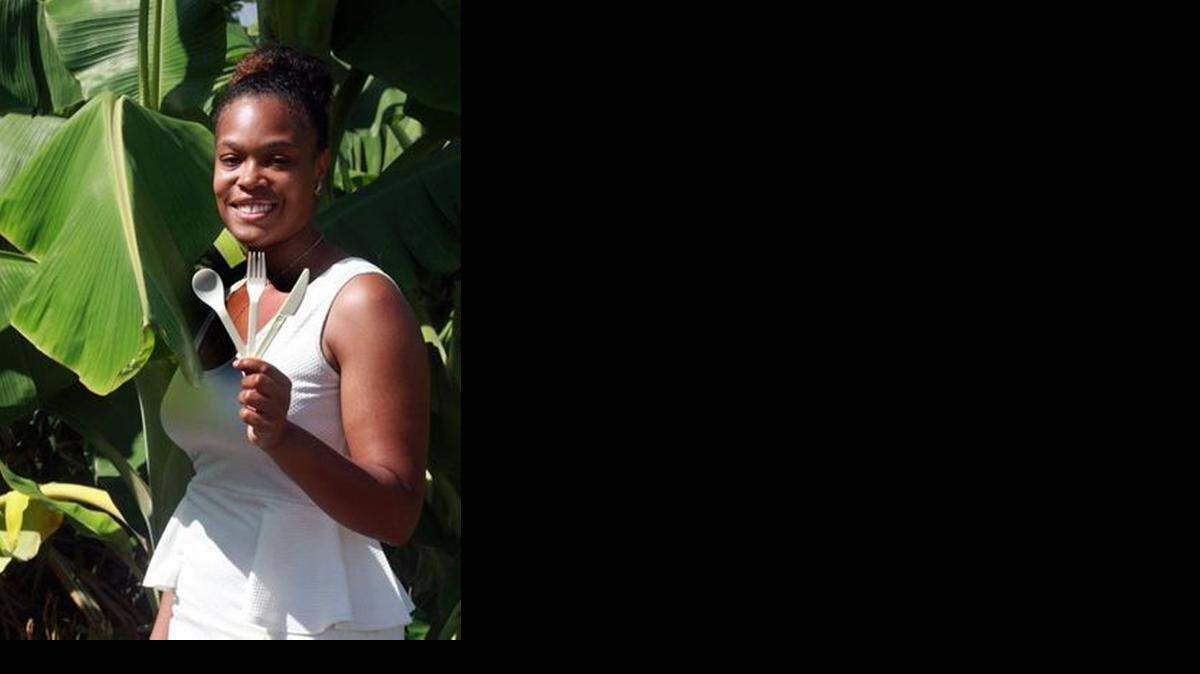 
Pandwe Gibson is the founder of EcoTech Visions, a nonprofit that focuses on nurturing green businesses in low-income communities. 
