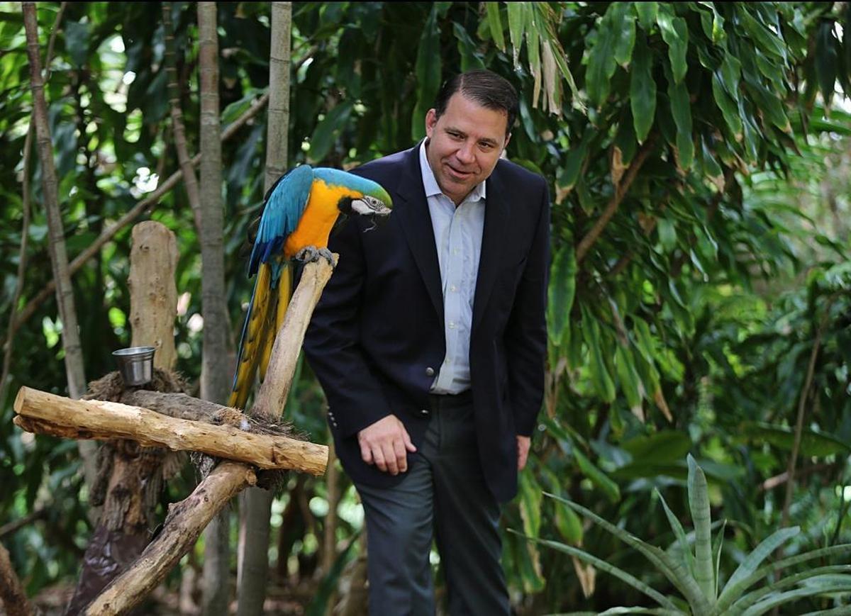John Dunlap, CEO of Iconic Attractions and president of Jungle Island, gets close to a parrot at Jungle Island on June 13, 2017