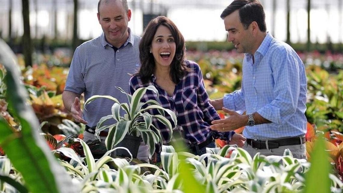 Costa Farms CEO Jose Smith, his wife Executive Vice President Maria Costa Smith, and Executive Vice President Jose A. Costa go through some of the new plant arrivals in one of their company’s many greenhouses in South Miami-Dade last year. Costa Farms is a third-generation, family-owned group of companies headquartered in Miami. PATRICK FARRELL pfarrell@miamiherald.com