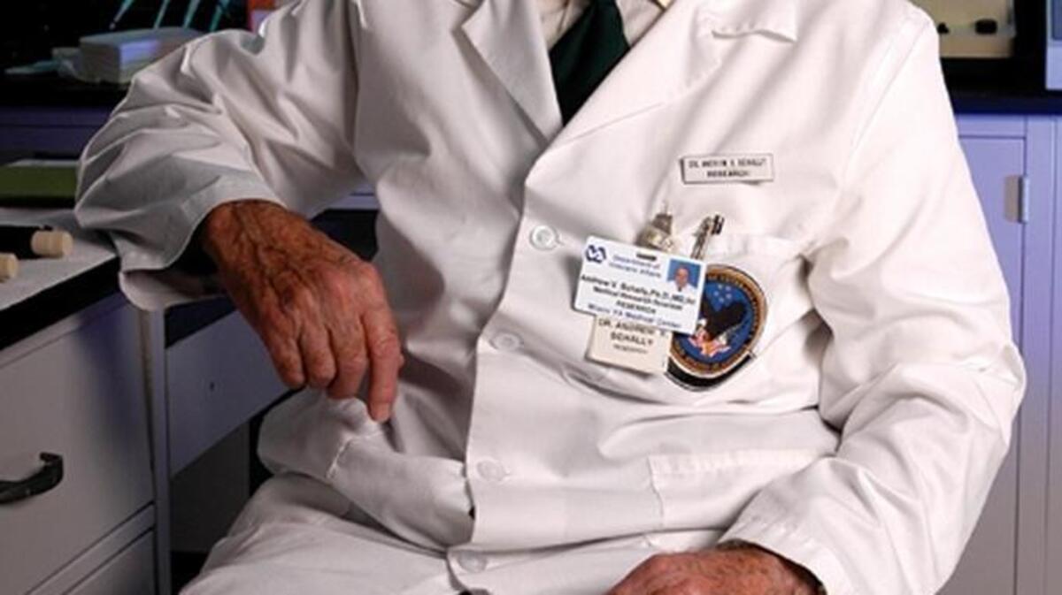 Dr. Andrew Schally, professor at Sylvester Comprehensive Cancer Center