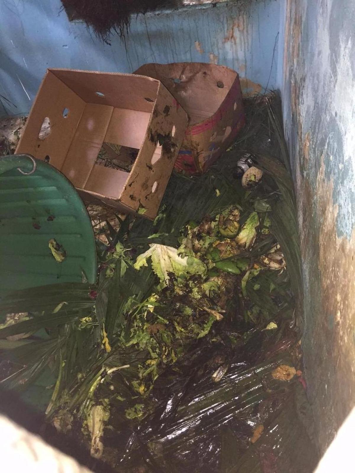 Rotten food, foliage and feces inside Mei’s night house.