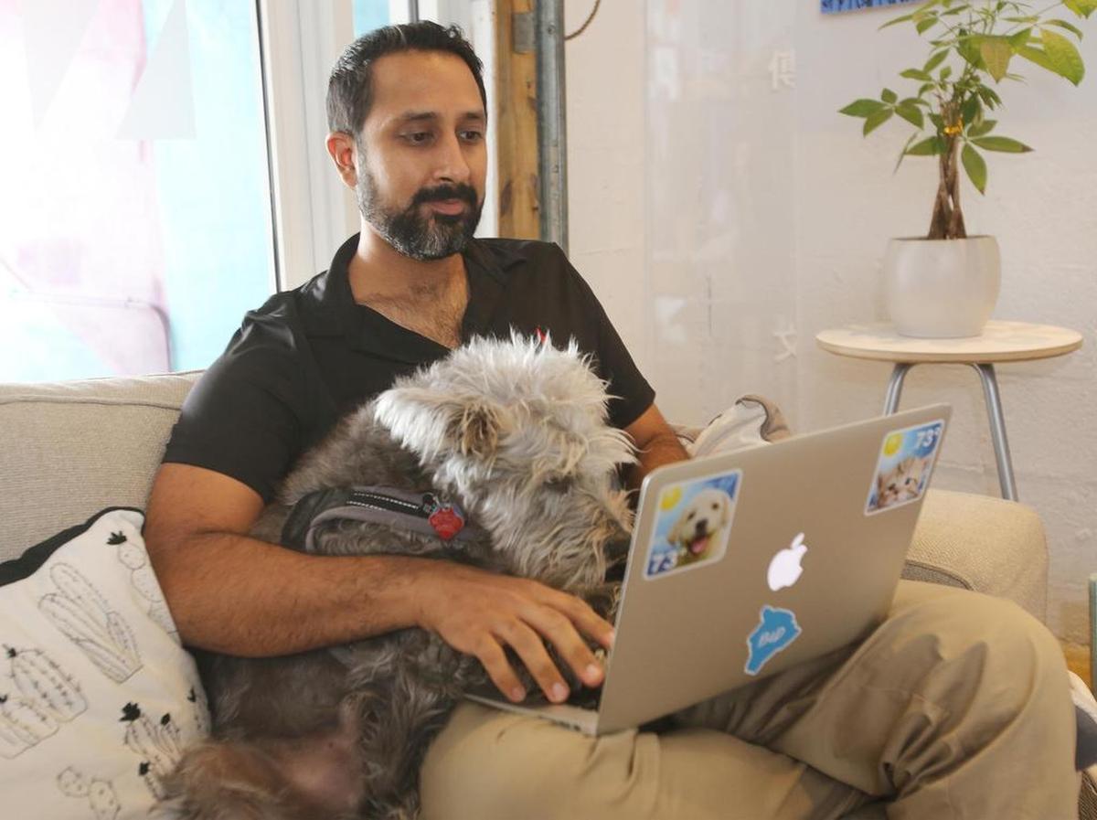Suraj Hemmani, co-founder of WC Weather Creative with nine-year-old Oliver, at the Lab in NW Miami on Firday, July 20, 2018, for a story about workplaces that allow employees to bring their animals