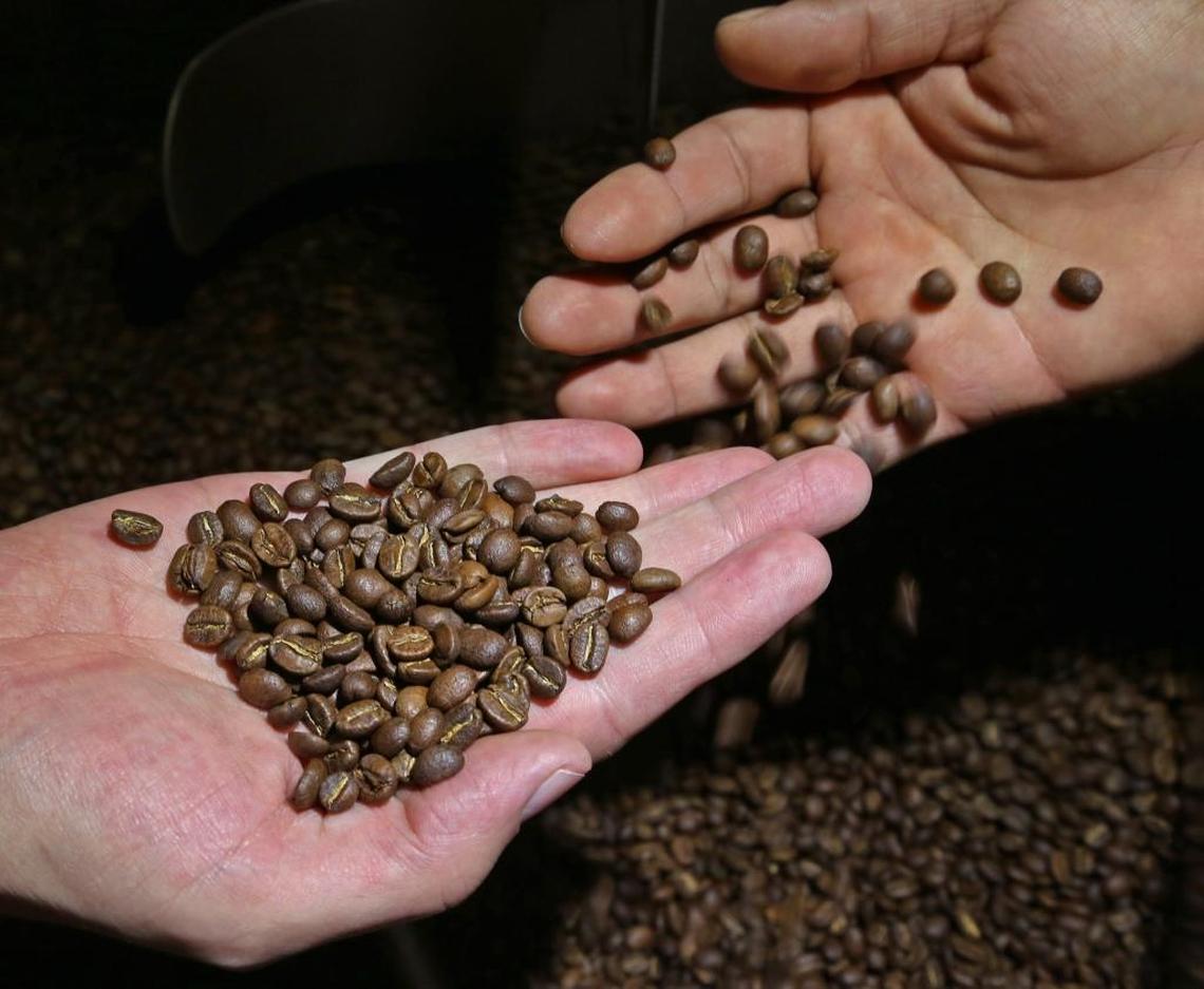 Sergio Boppel, 38, founder of Great Circle Coffee, a gourmet coffee roasting company in Miami's Little Haiti neighborhood, and Kevin Saldaña, 30, right, check the state of roasted beans on Tuesday, July 18, 2017.