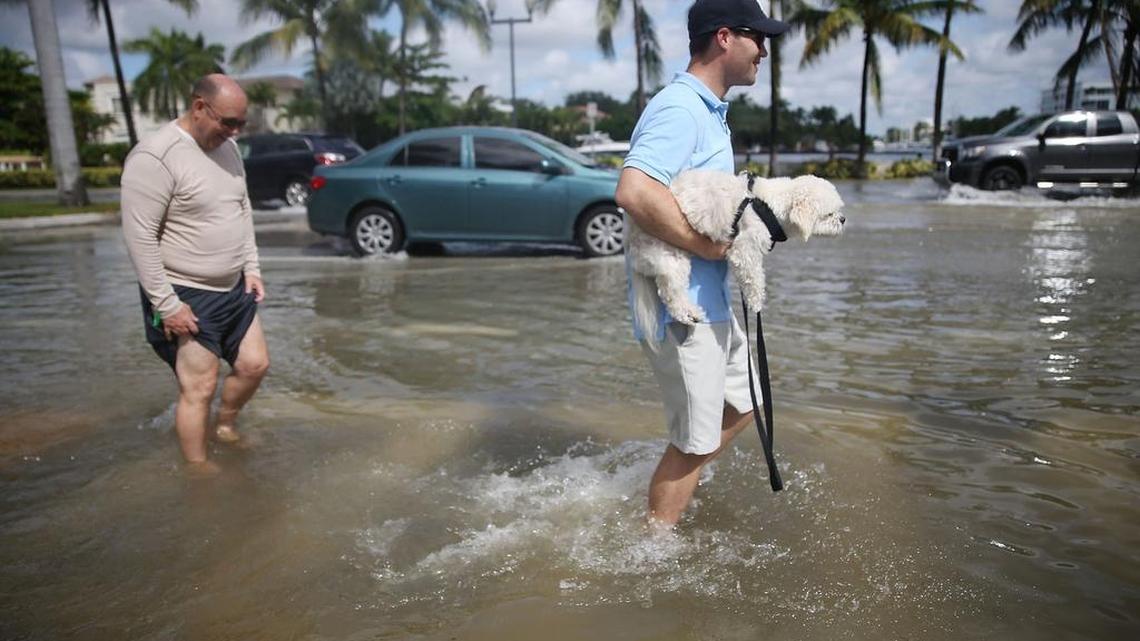 People walk through a flooded street that was caused by the combination of the lunar orbit which caused seasonal high tides and what many believe is the rising sea levels due to climate change on Sept. 30, 2015 in Fort Lauderdale.