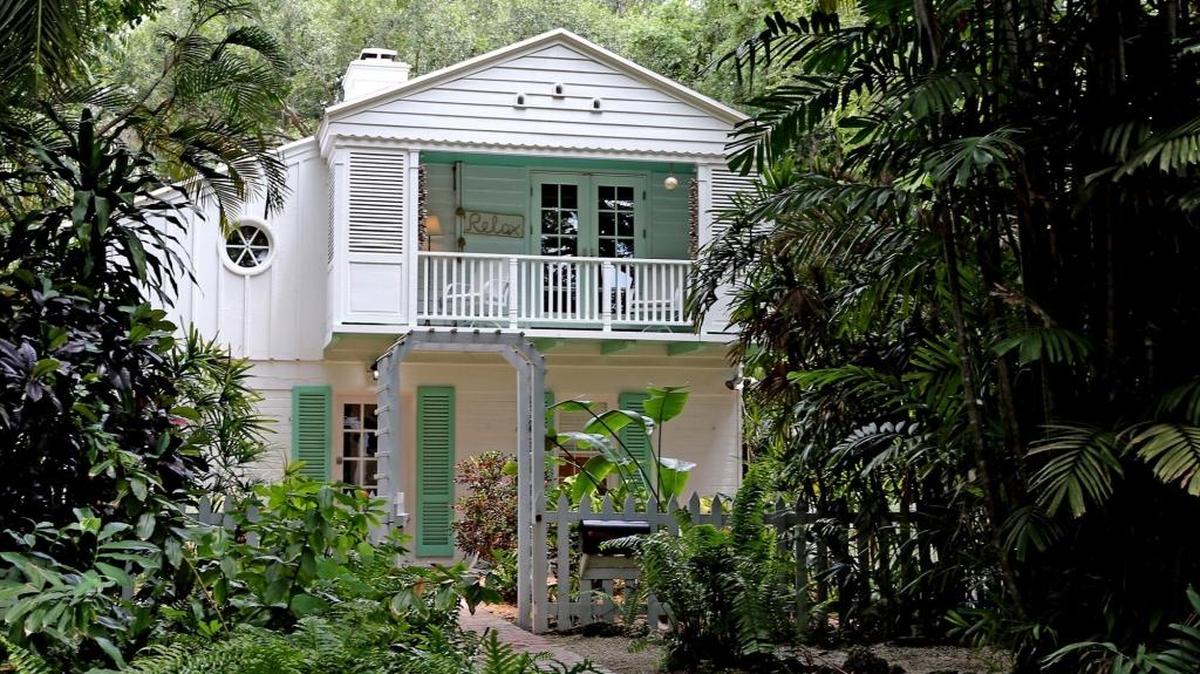 On Avocado Avenue in Coconut Grove, the treasured jungle-like ambiance of the historic village is giving way to modernist houses with little landscaping.