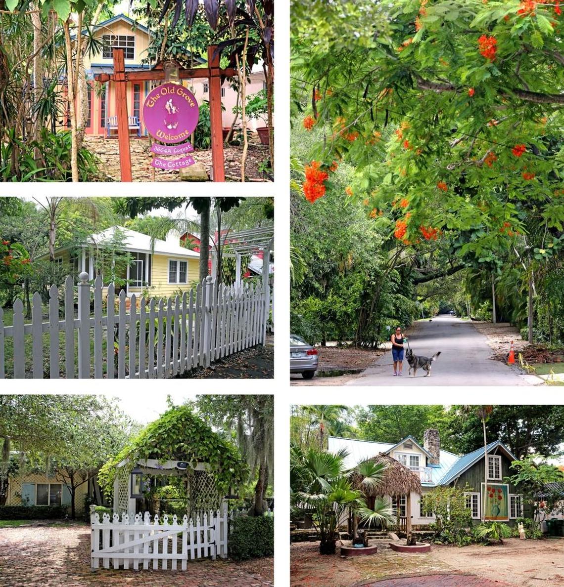 Coconut Grove’s residential neighborhoods are famed for picturesque houses and dense greenery.