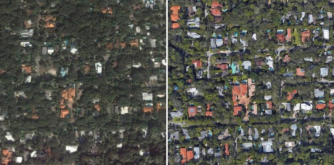 These images from Google Earth show a denser tree canopy in a portion of south Coconut Grove in January 2004 and currently.