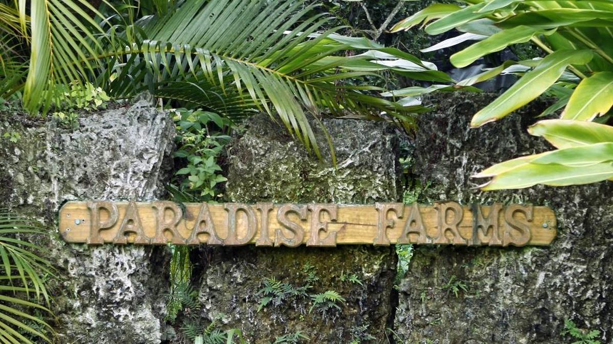 A handmade sign is near the entrance of Paradise Farms in Homestead. Gabriela Marewski has run the property as a certified organic farm since 1999. The new owner will continue the farm and add more health and wellness programming.