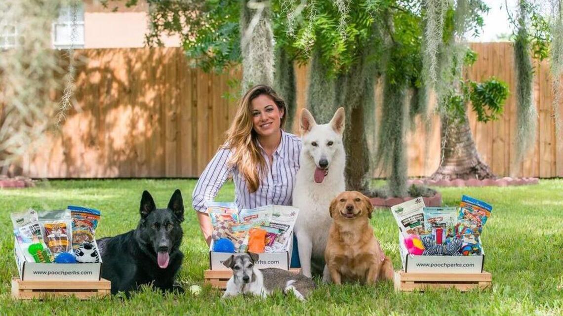 Pooch Perks’ boxes for the pampered pet prove popular